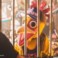 Focus on….Elrow